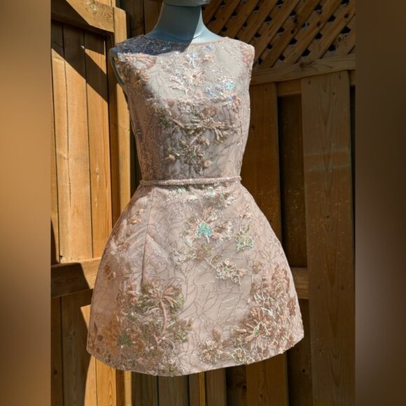 🆕 BRONX & BANCO 🧿 NWOT Violet Mini Dress, Gold & Champagne Sequin - Sz M US 6 - Picture 4 of 15